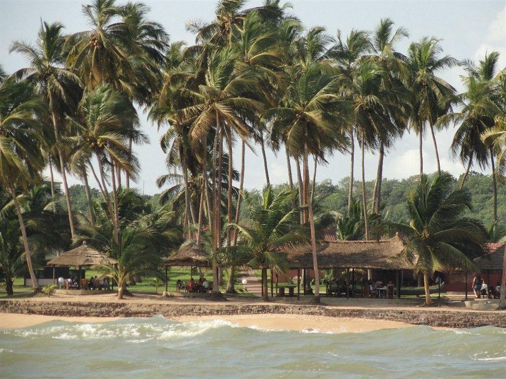 코코넛 그로브 비치 리조트 Elmina 외부 사진